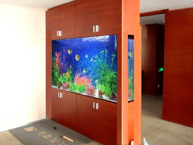 昆明搬家搬運(yùn)魚缸需要注意的事項(xiàng)有哪些？