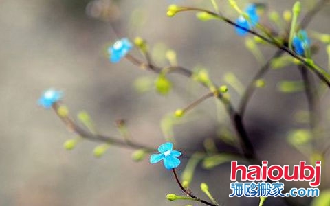 2019年元旦適合搬家嗎1月搬家黃道吉日元旦適合喬遷嗎.jpg 2019年元旦適合搬家嗎1月搬家黃道吉日元旦適合喬遷嗎.jpg